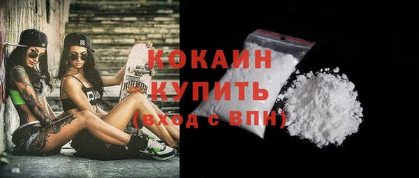 гидра Пересвет