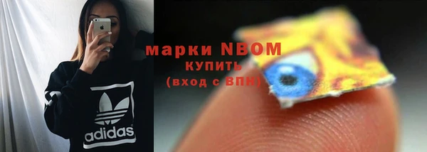 молекула духа Осташков